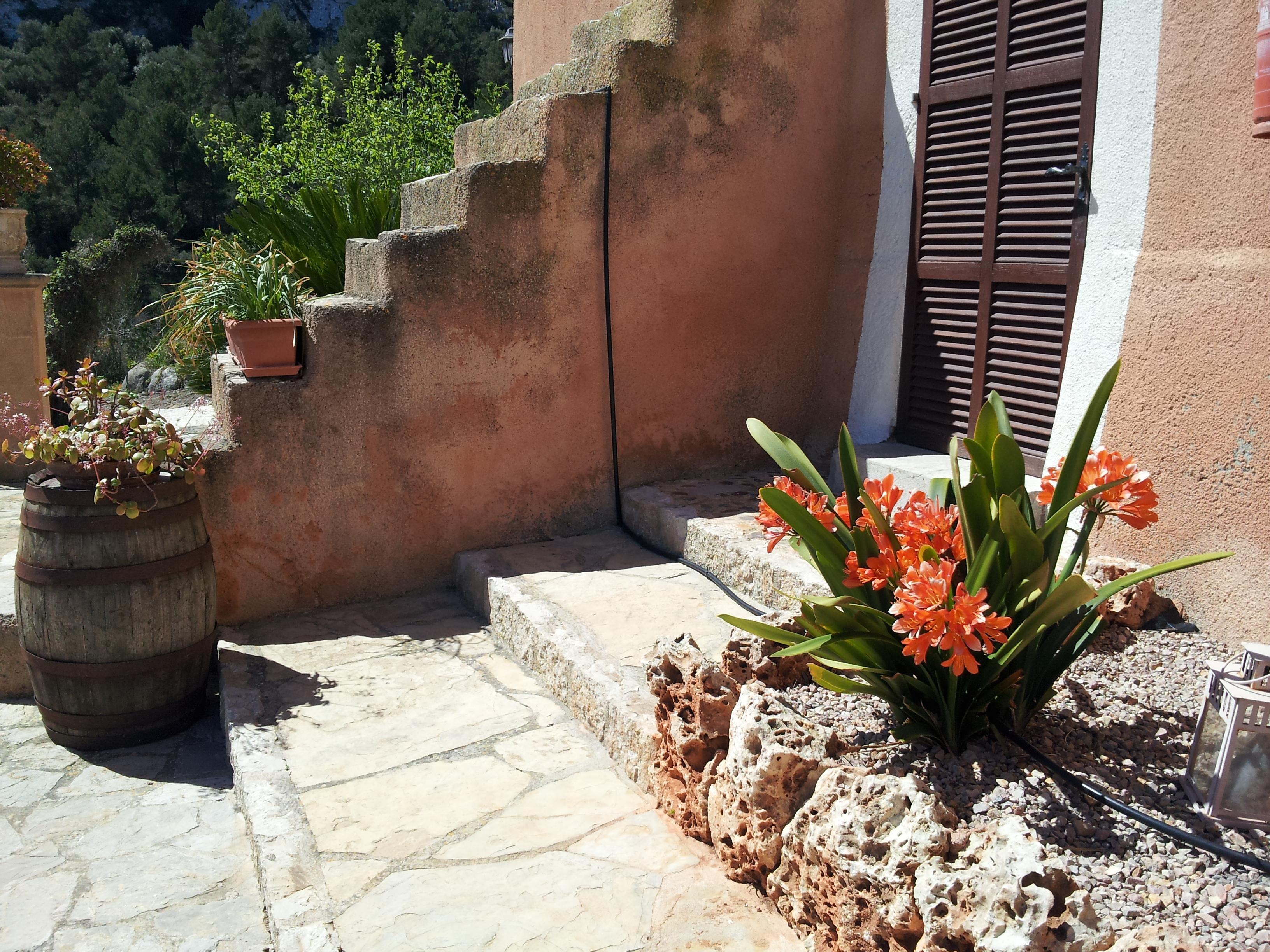 Agroturisme Es Picot Son Macia  Exterior photo