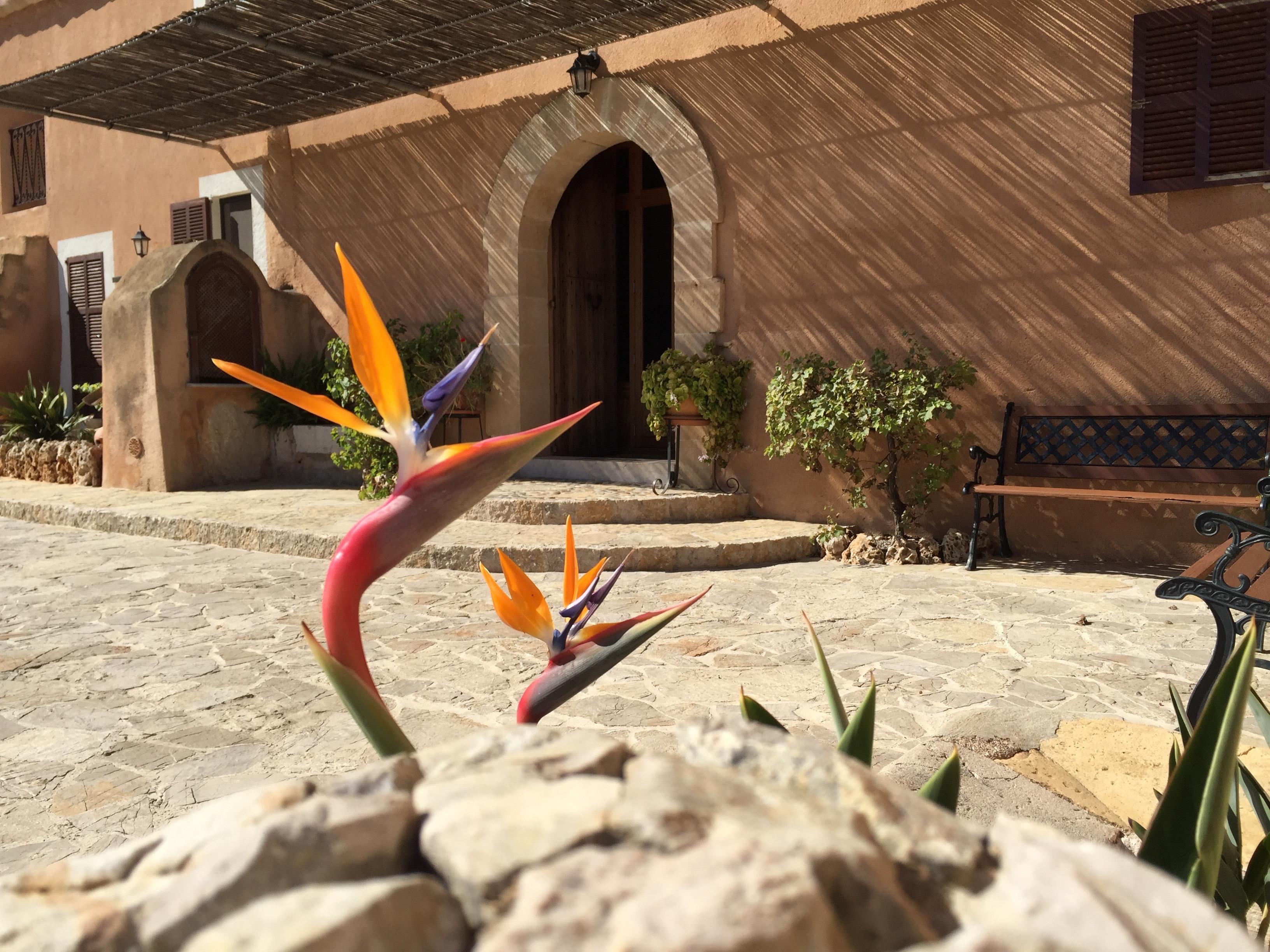 Agroturisme Es Picot Son Macia  Exterior photo