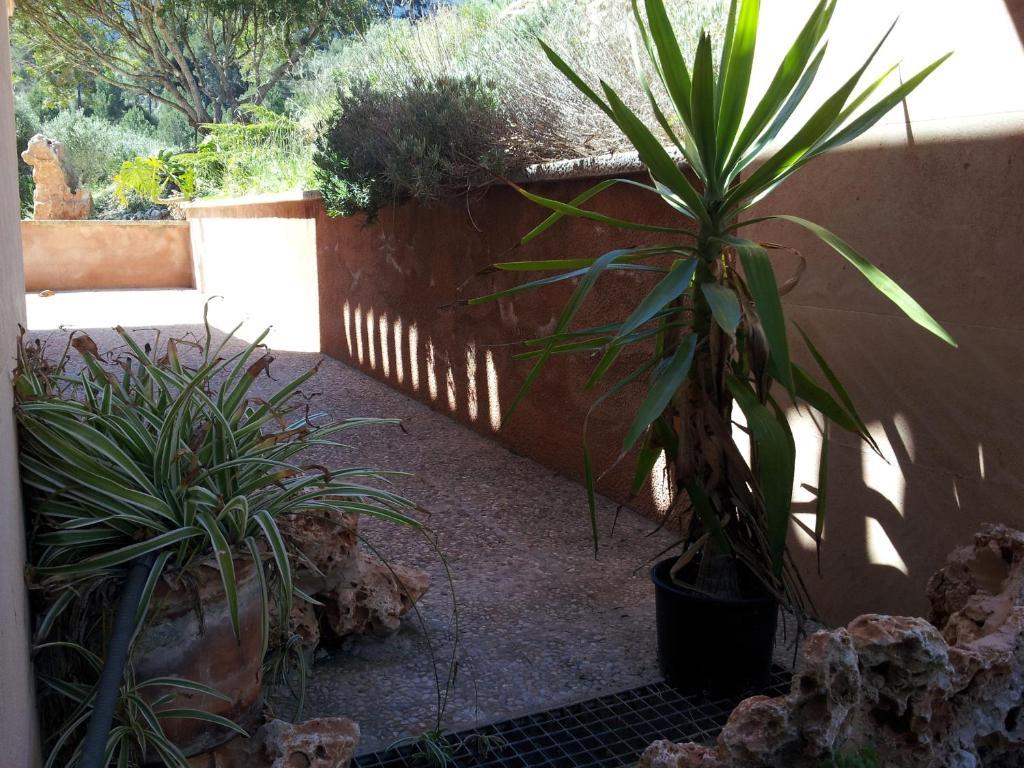 Agroturisme Es Picot Son Macia  Room photo